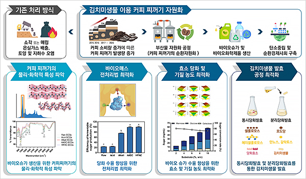 커피 찌꺼기 순환자원화 공정 모식도 (자료=세계김치연구소)