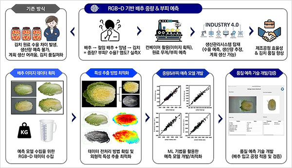 배추의 중량 및 부피 예측 모델. (사진=세계김치연구소)